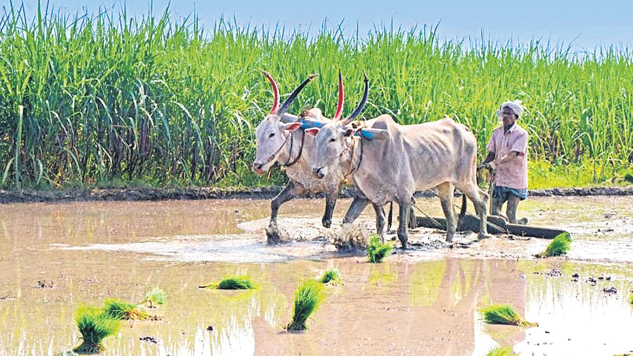 ఎట్లైనా బతుకుత!