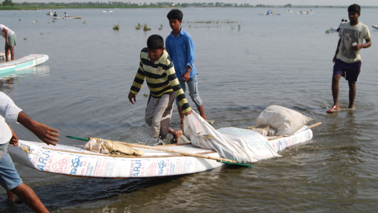 ‘మత్స్య’ సిరులు