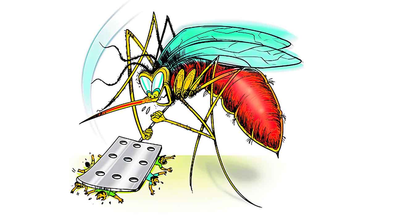 డెంగీపై అలర్ట్‌