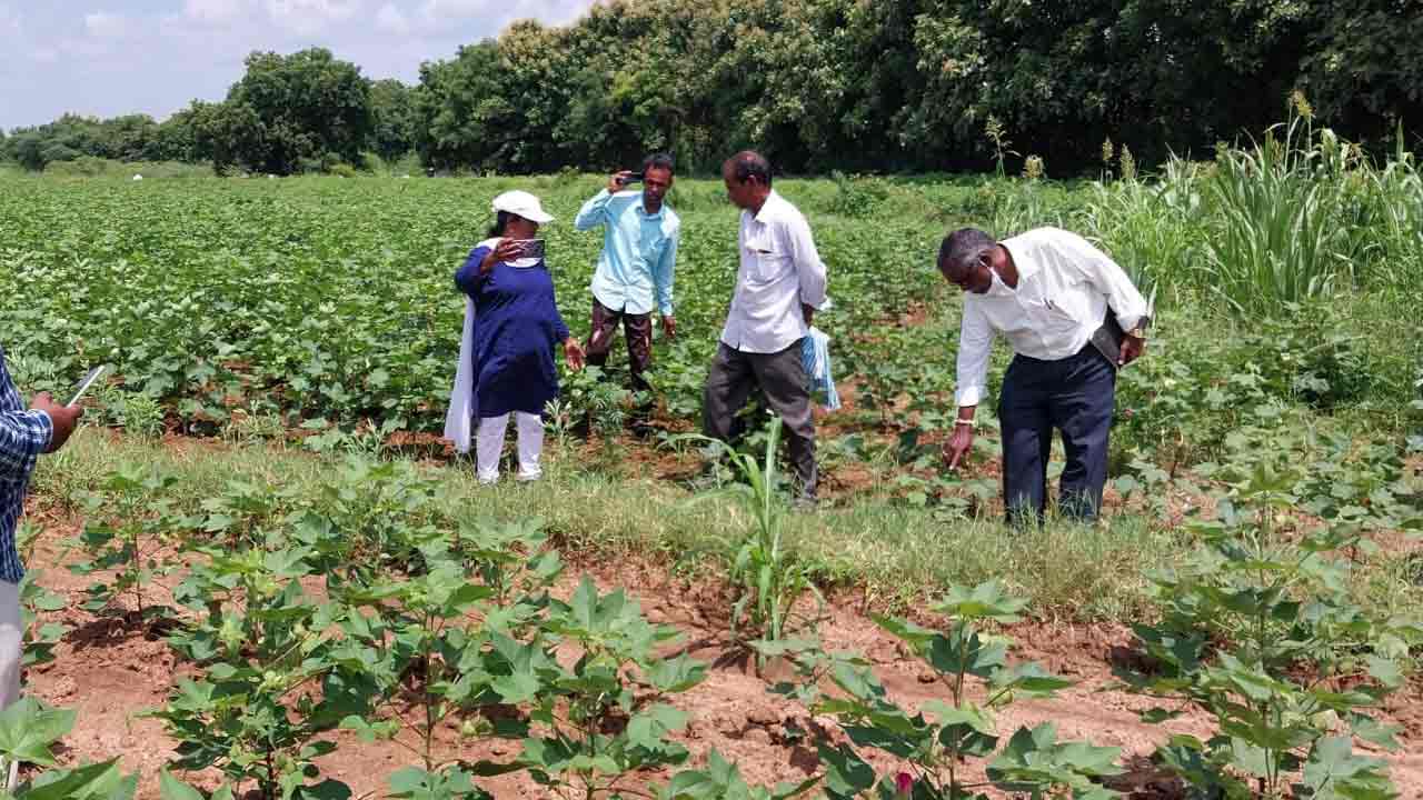 క్రాప్‌ బుకింగ్‌లో జిల్లా నంబర్‌ వన్‌