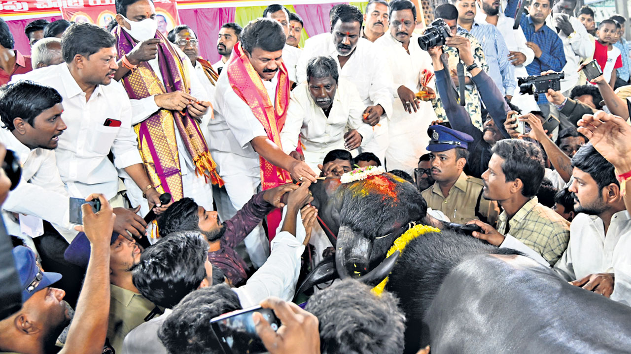 సదరోత్సాహం