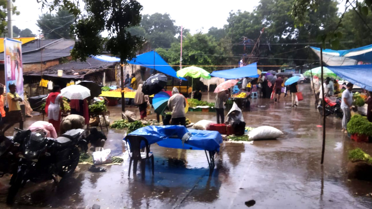 విస్తారంగా వర్షం