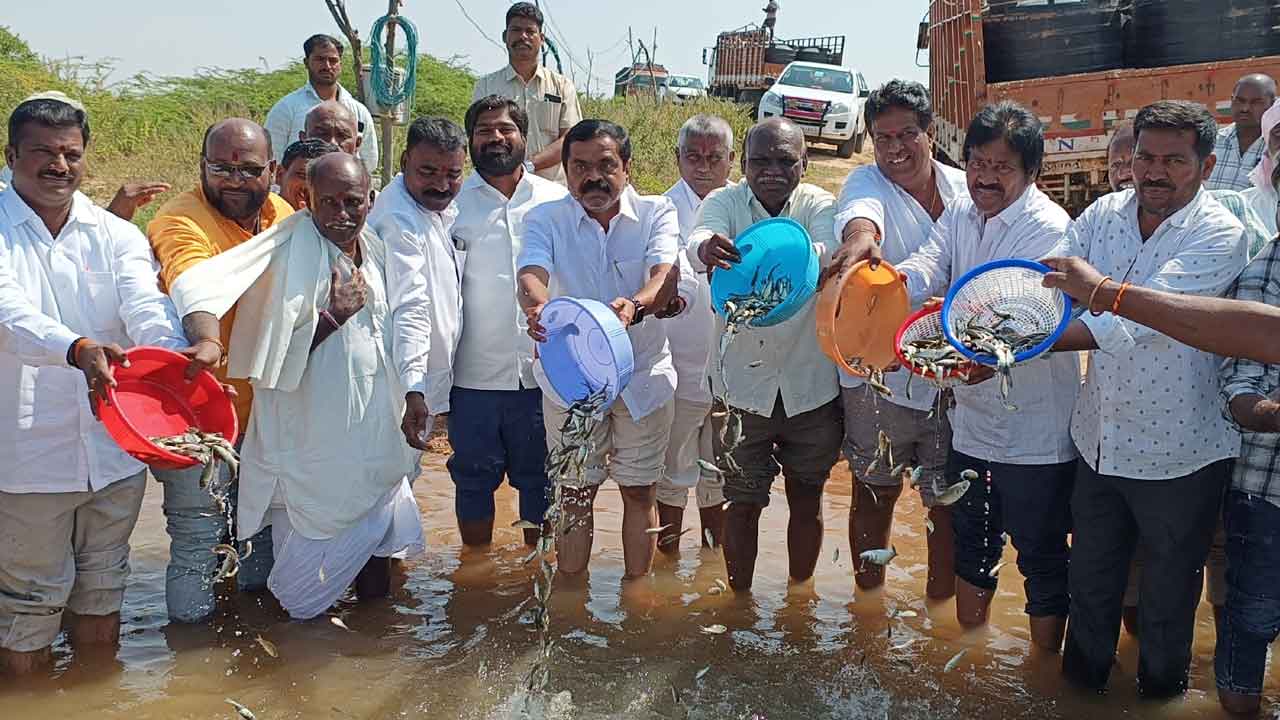 మత్స్య సంపద పెంపునకు కృషి