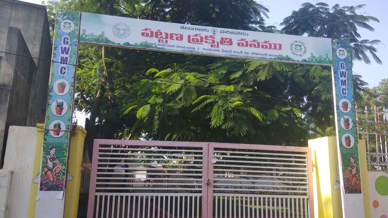 చూడచక్కని ప్రకృతి వనం