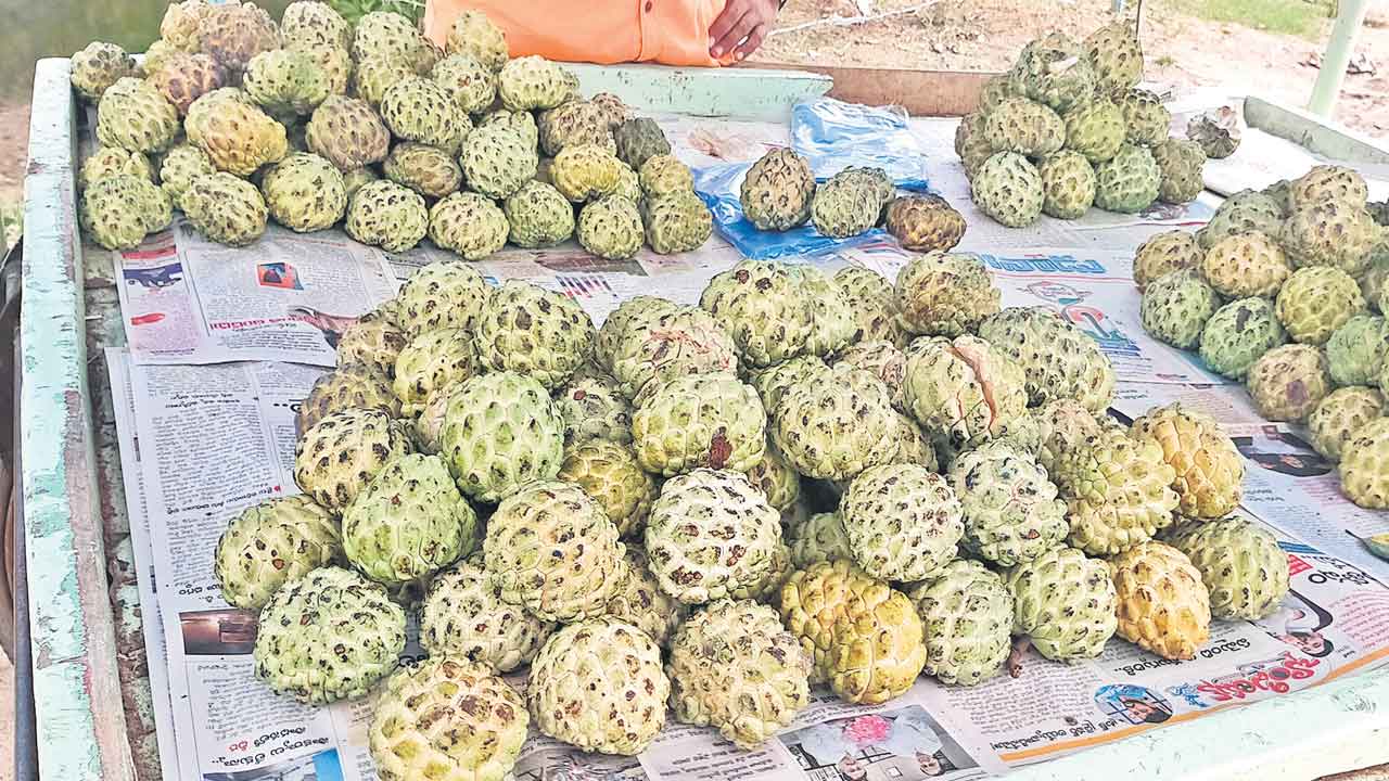 మధెరఫలం పోషకాలు పుష్కలం