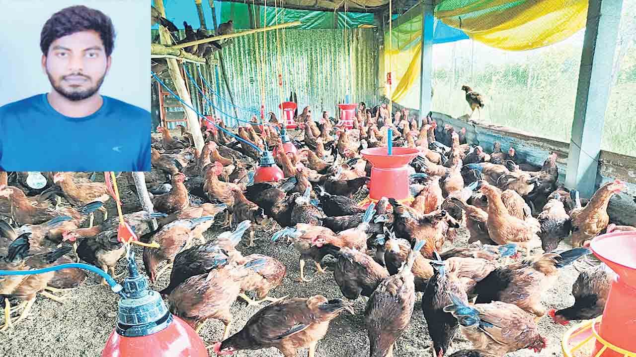 నాటుకోళ్ల వ్యాపారంలో ఎంబీఏ విద్యార్థి..