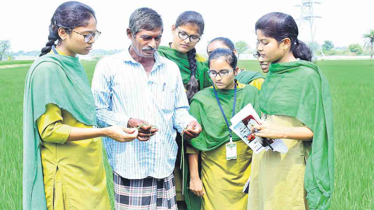 పొలాస విద్యార్థుల పొలం బాట