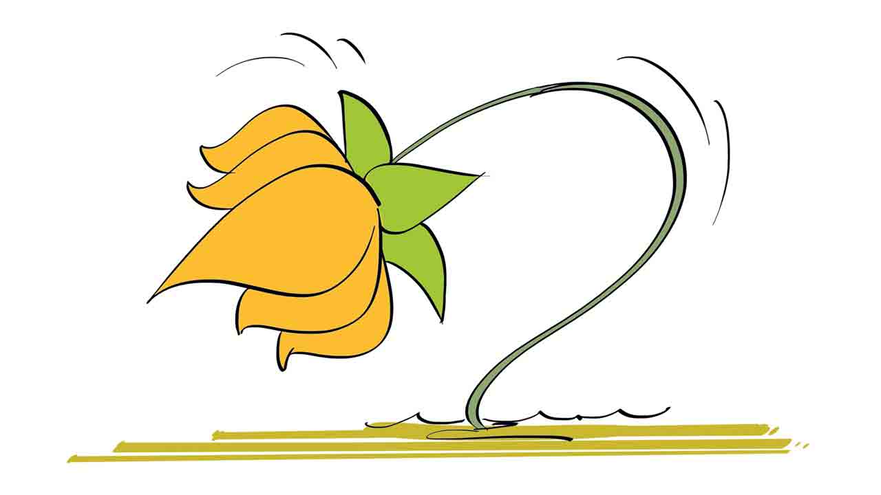 బీజేపీ కుదేల్‌.. రాజగోపాల్‌ గుబుల్‌!