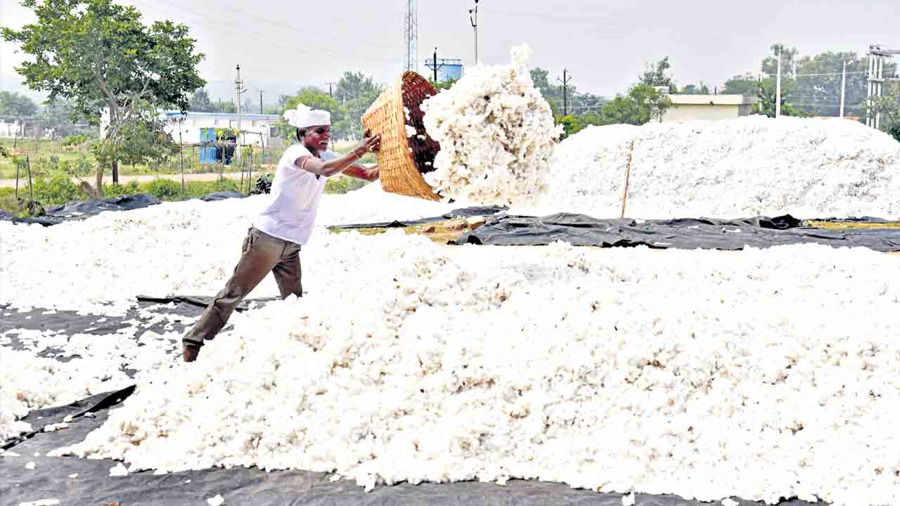 పత్తి కొనుగోలుకు సన్నాహాలు