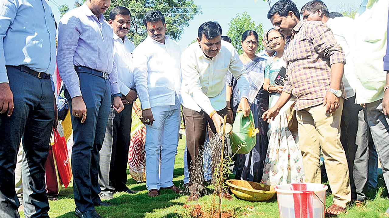 పల్లె ప్రకృతి వనాలు ప్రశాంతతకు నిలయాలు