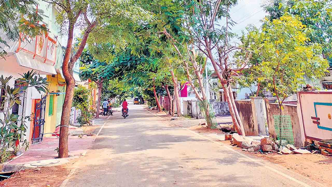 పచ్చదనంతో అలరారుతున్న కాళ్లకుంట కాలనీ