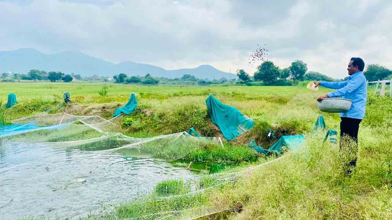 చేపల పెంపకం లాభదాయకం