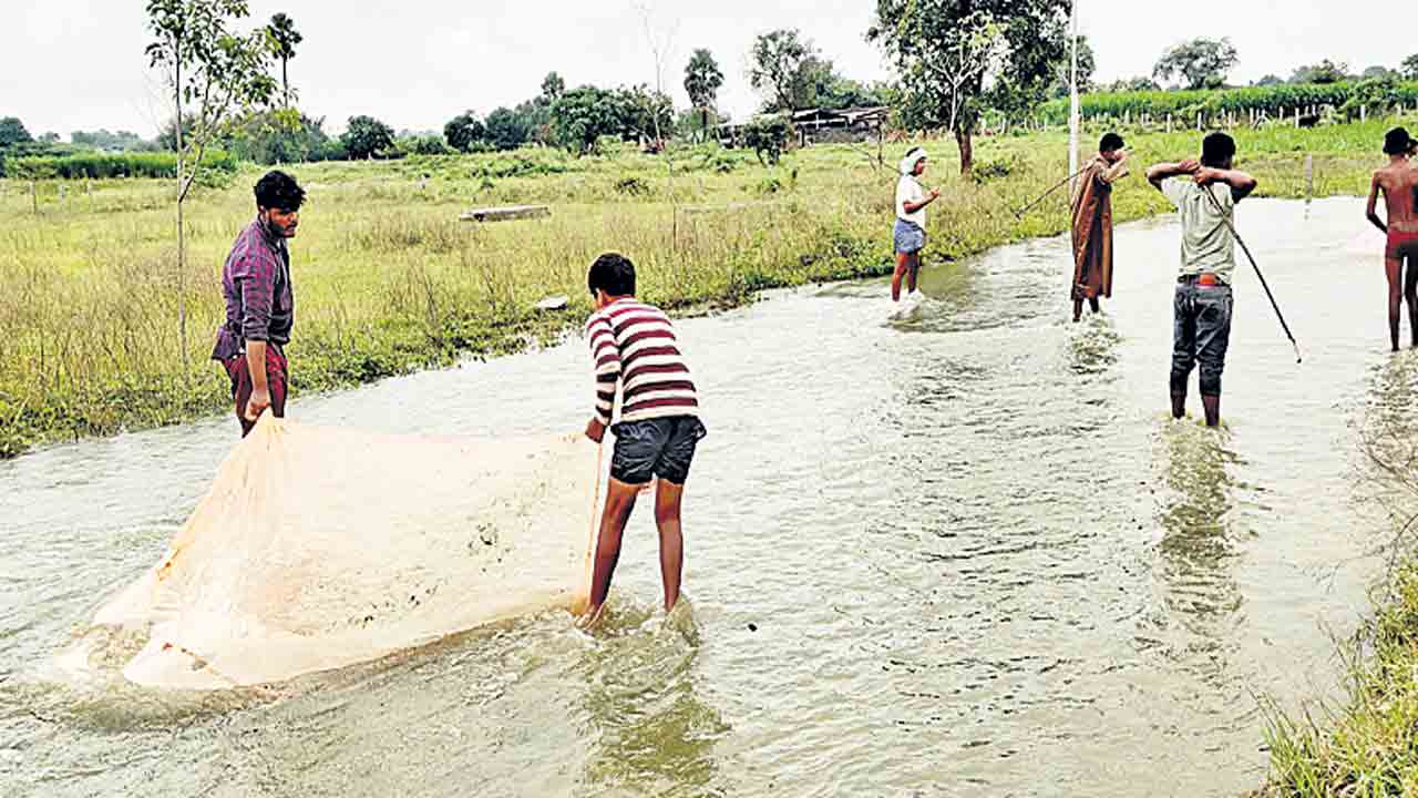 చెరువులకు జలకళ