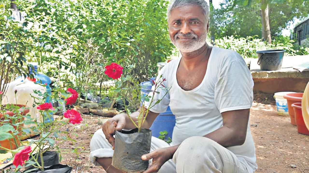 ప్రకృతే నేస్తం..పచ్చదనమే ప్రాణం