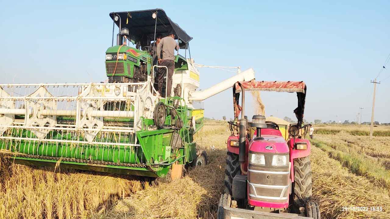 జోరుగా వరి కోతలు