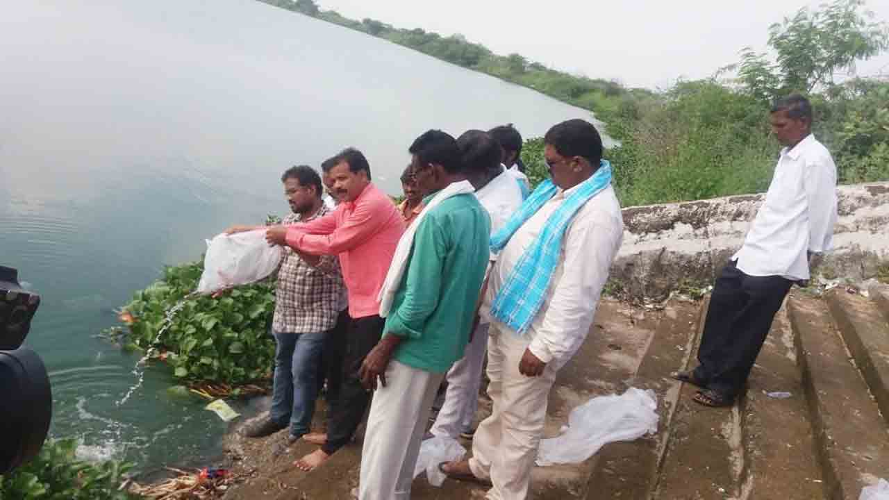 వేగంగా చేప పిల్లల పంపిణీ