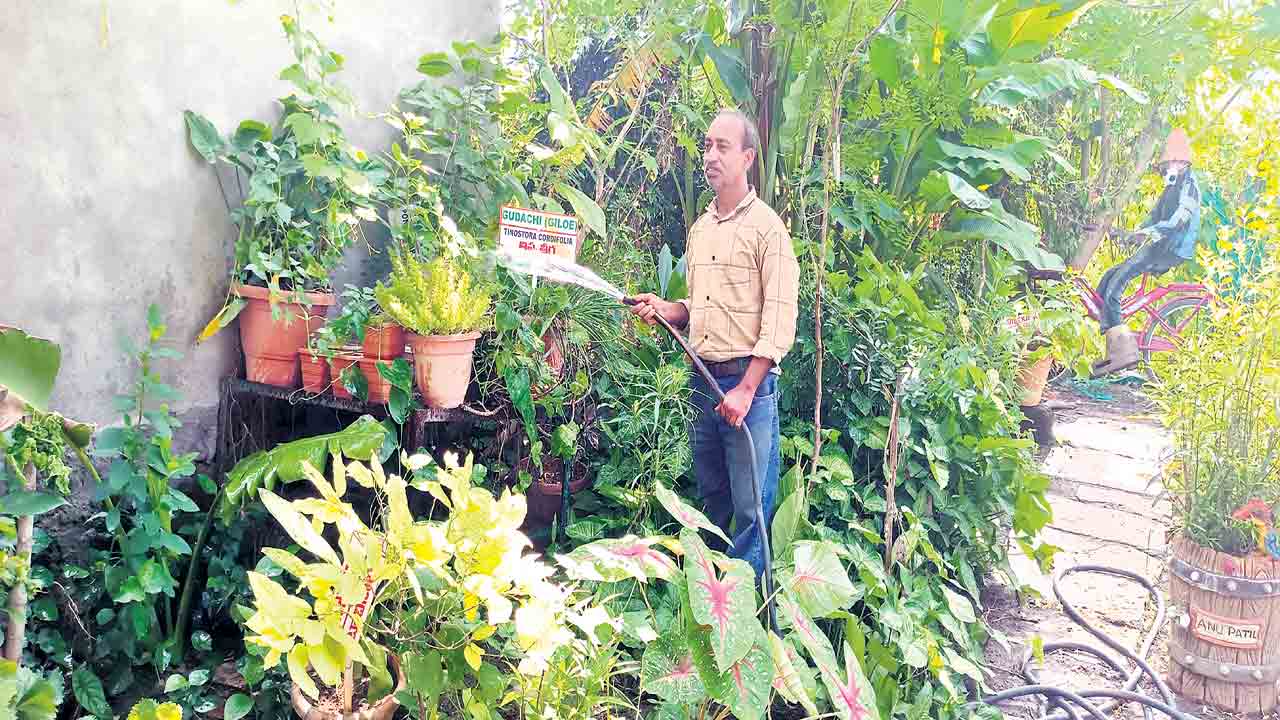 180 రకాల మొక్కల పెంపకం