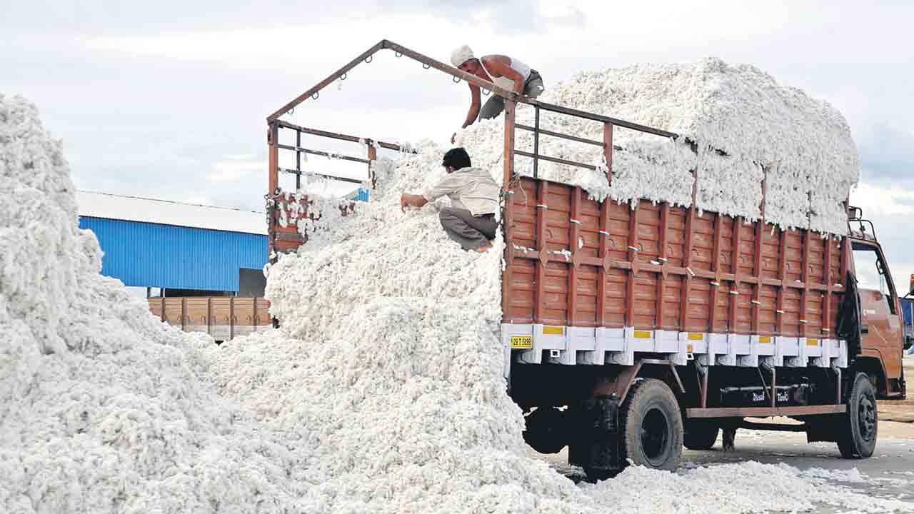 దూది కొనుగోళ్లకు రెడీ
