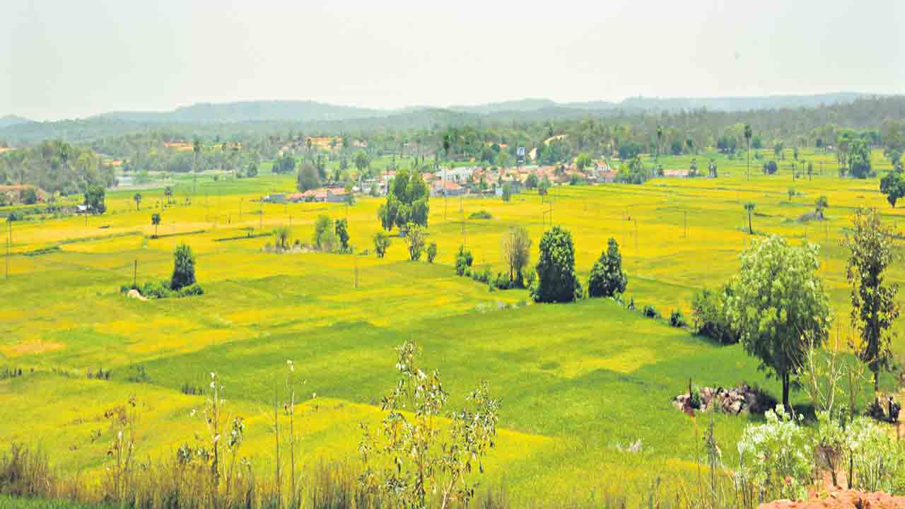 తెలంగాణలో పొలాలు పిరం.. ఐఐఎం అధ్యయనం వెల్లడి