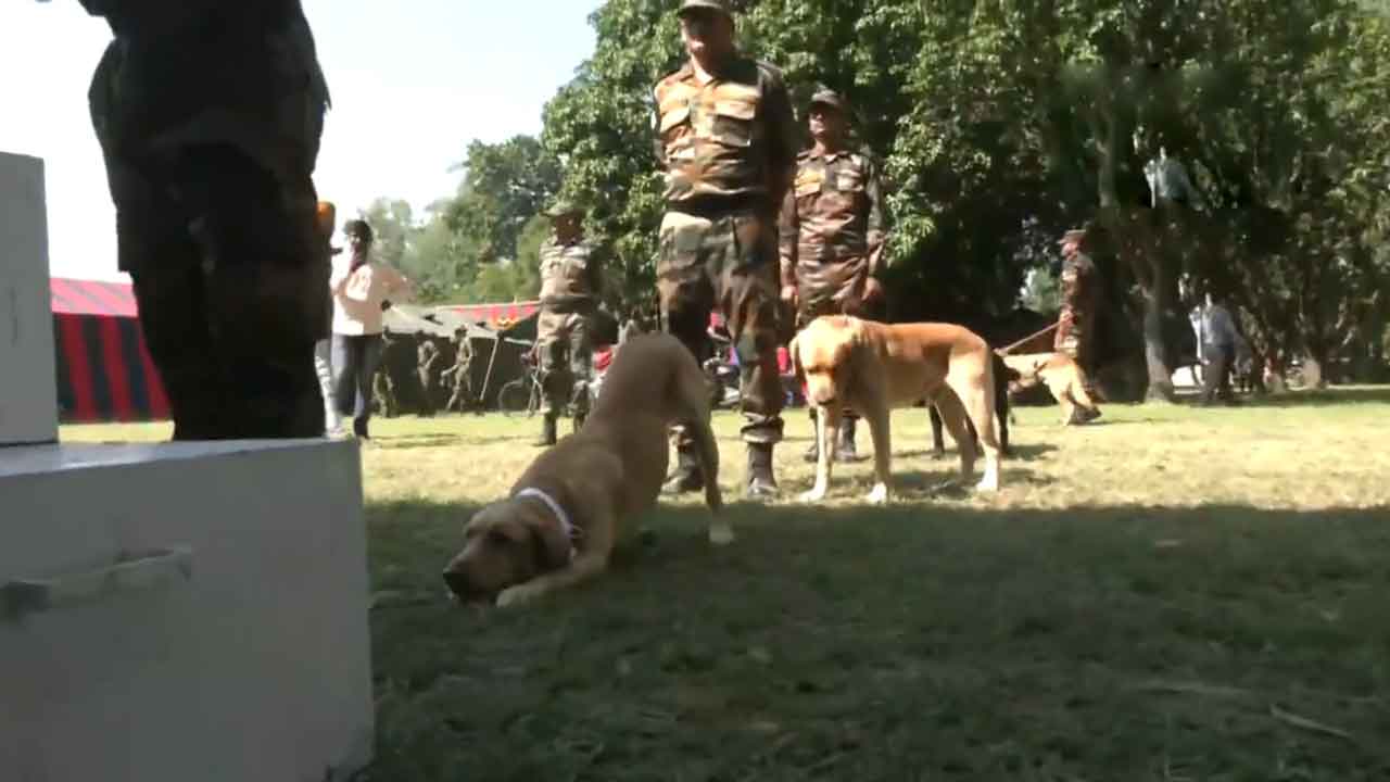 తూటా గాయాలతో మ‌ర‌ణించిన సైనిక జాగిలానికి తోటి జాగిలాల ఘ‌న నివాళి.. వీడియో