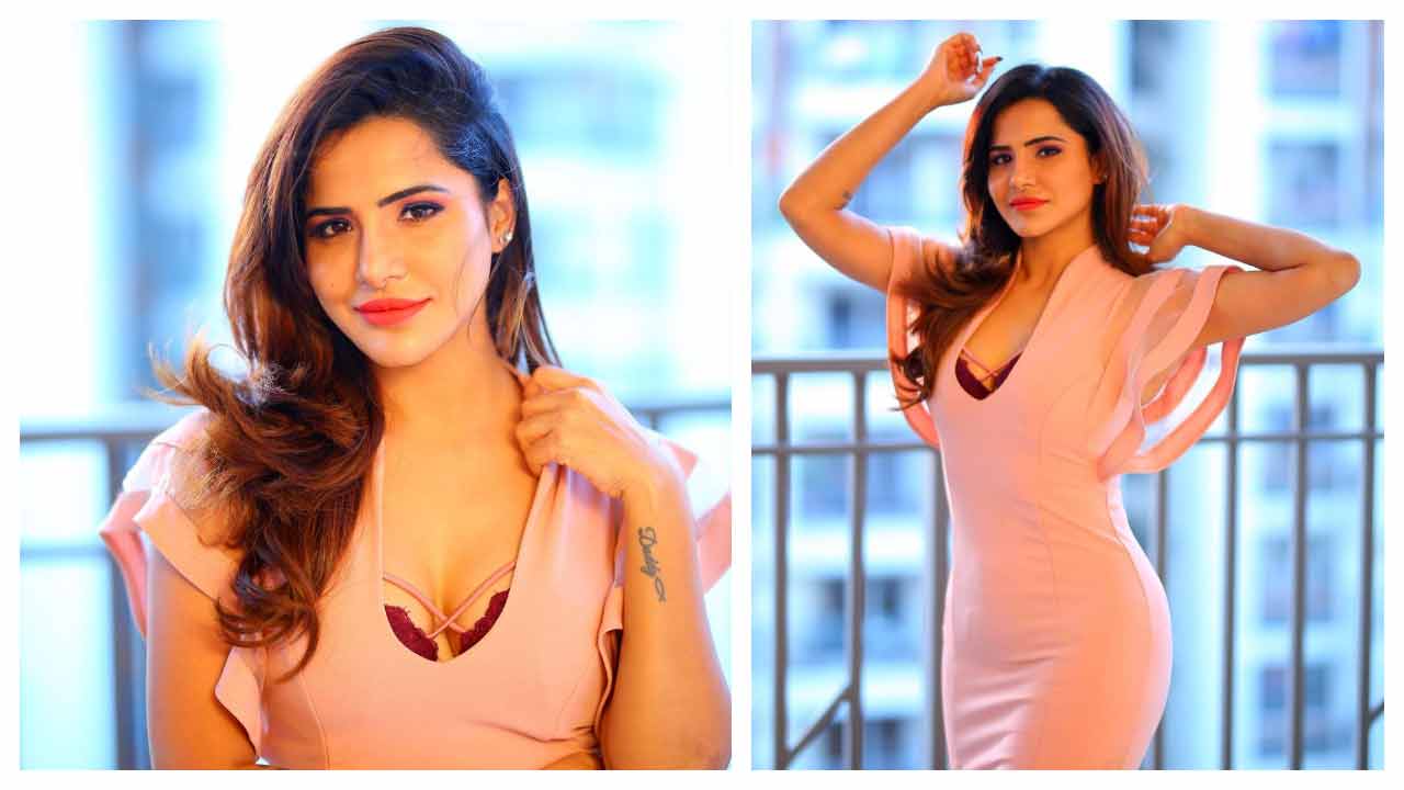 Ashu Reddy | చూపులతో మత్తెక్కిస్తున్న ఆషూ రెడ్డి..