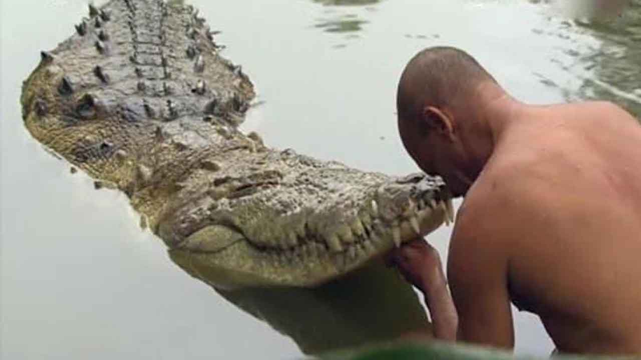 శాఖాహార మొస‌లి బ‌బియా మృతి.. 70 ఏండ్ల‌కుపైగా దేవుడి ప్ర‌సాద‌మే ఆహారం