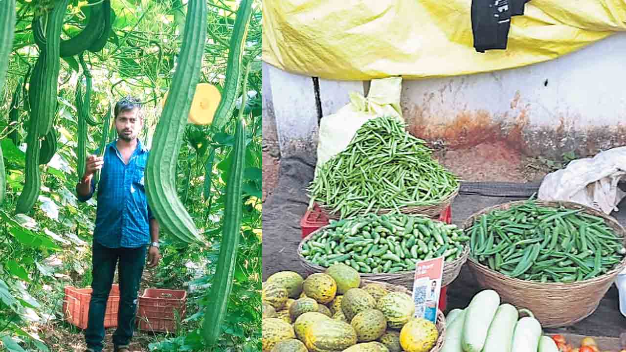ఉన్నత చదువులు..సాగువైపు అడుగులు!