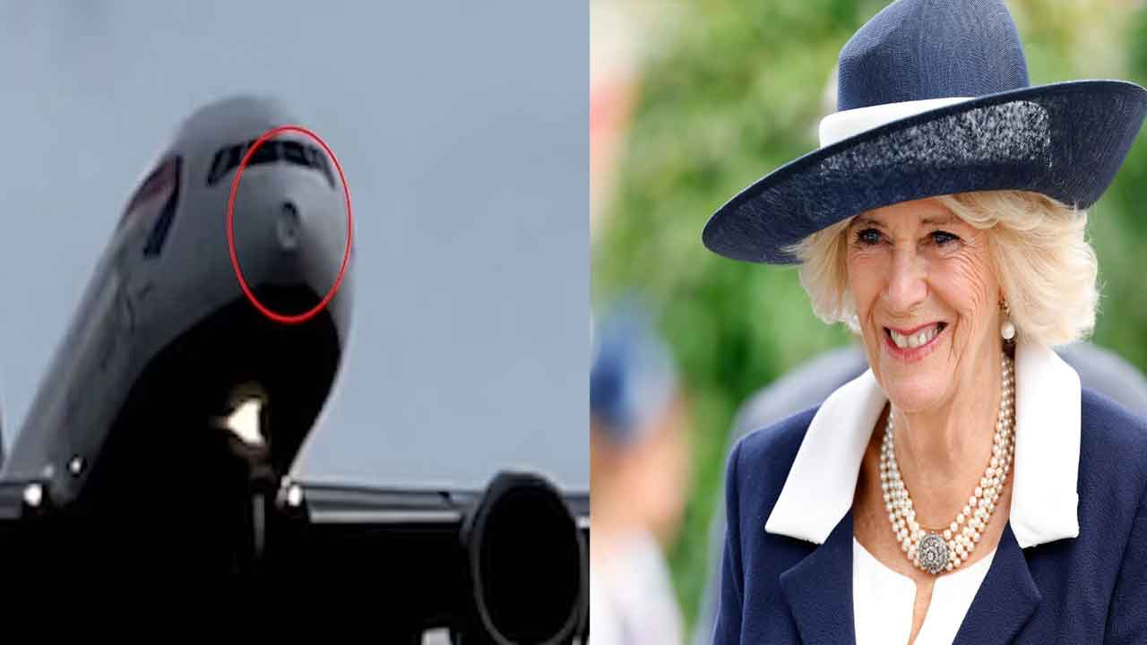 Queen Camilla | రాణి కెమిల్లా విమానానికి ఢీ కొట్టిన పక్షి.. లండన్‌లో దిగుతుండగా ఘటన