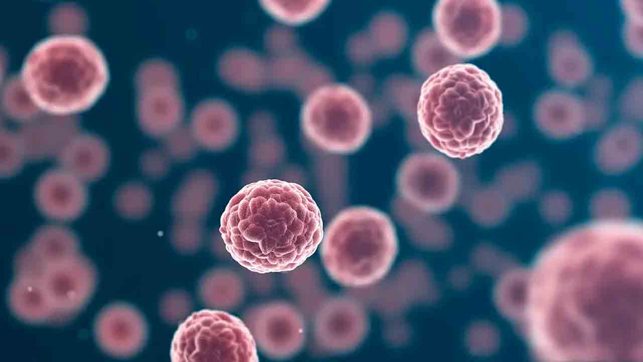 వాయు కాలుష్యంతో క్యాన్సర్‌ ముప్పు