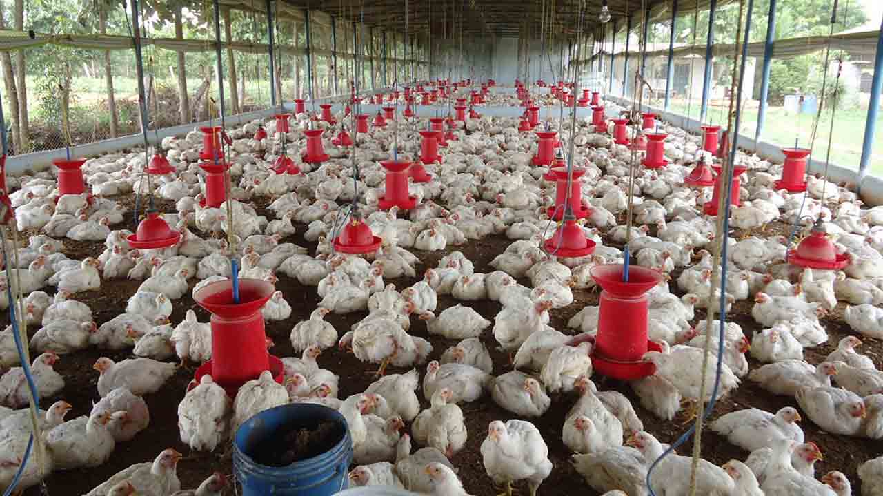 సమస్య – సమాధానం