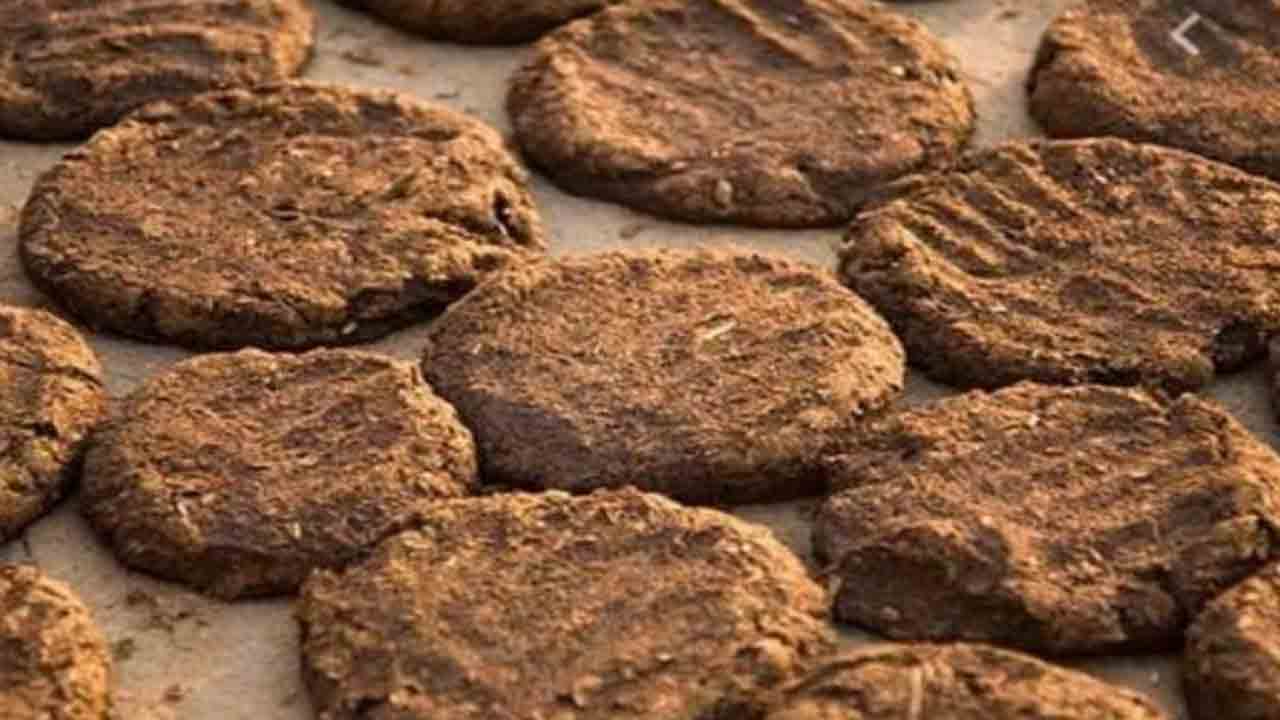 ఆన్‌లైన్‌లో రిస్ట్ వాచ్ ఆర్డర్ చేసిన మహిళ… పిడకల పార్సిల్‌ అందుకుని షాక్‌