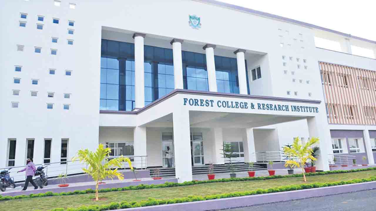 ఆకర్షణీయంగా ఫారెస్ట్‌ మ్యూజియం