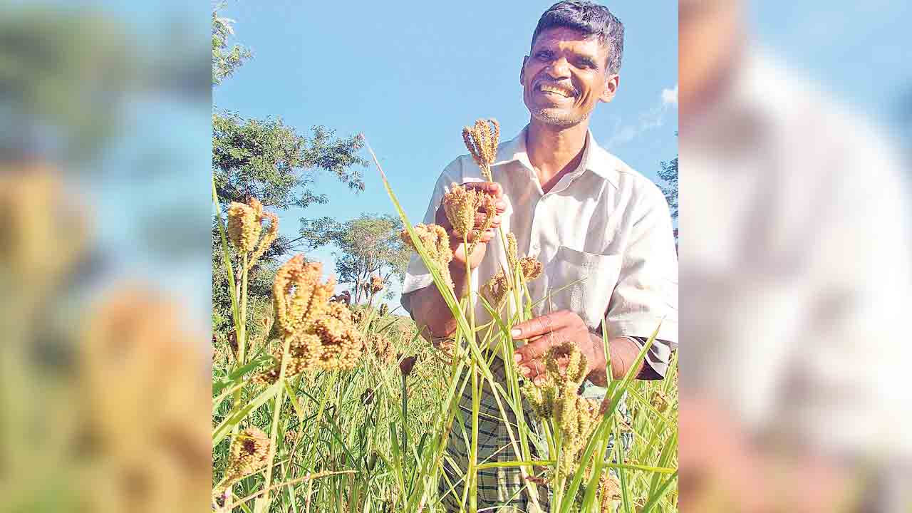 దేశ రైతుకు మార్గదర్శి
