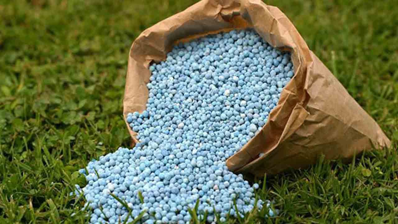 యాసంగిపై కేంద్రం పిడుగు.. ఎరువుల కేటాయింపులో భారీ కోత