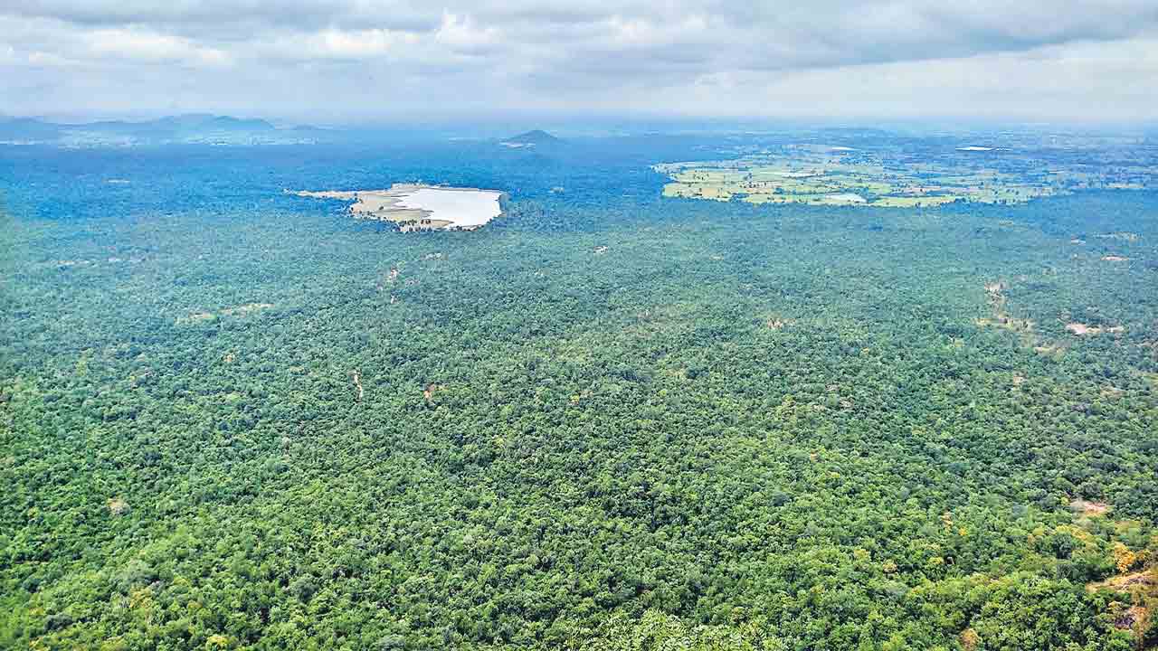 ప్రకృతి ఒడిలో విహరిద్దాం