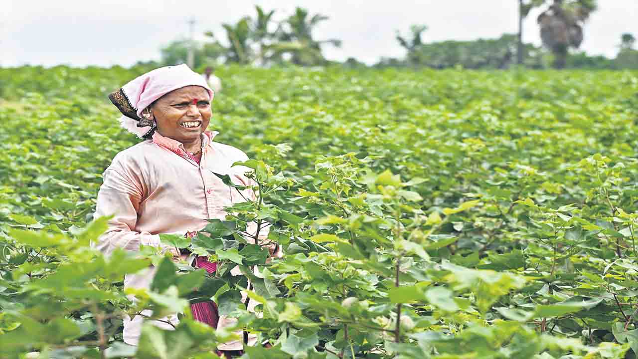 కారే రావాలి.. సారే గెలవాలి.. సీఎం కేసీఆర్‌ నాయకత్వాన్నే బలపరుస్తున్న సామాన్య జనం