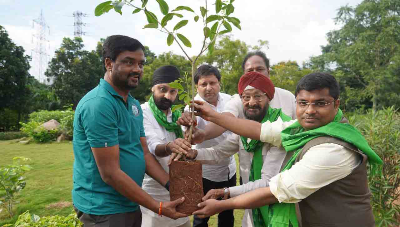 గ్రీన్‌ ఇండియా చాలెంజ్‌లో సినీ ప్రముఖులు