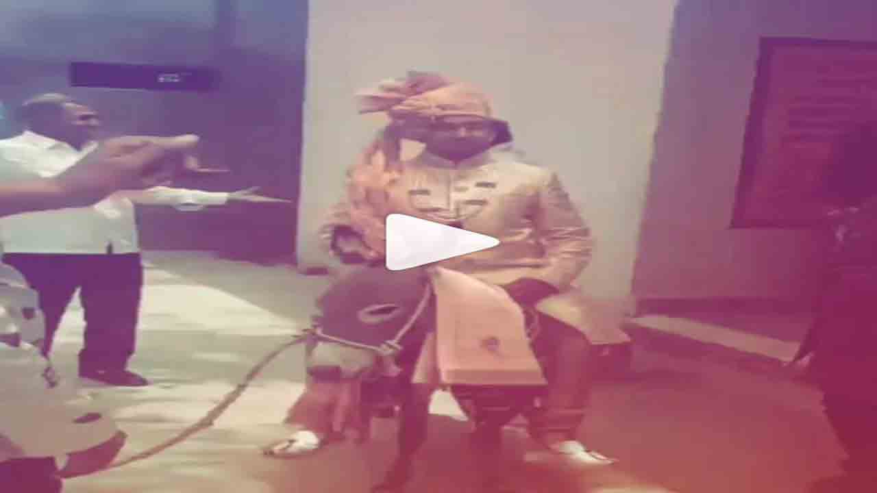 గుర్రం అందుబాటులో లేక.. గాడిదపై ఊరేగిన వరుడు