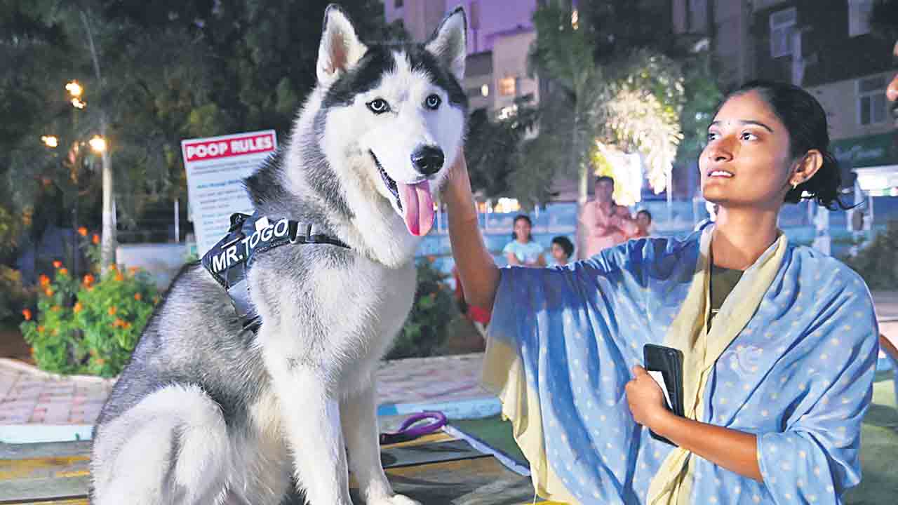 అమూల్య నేస్తాలు ఆత్మీయ బంధాలు