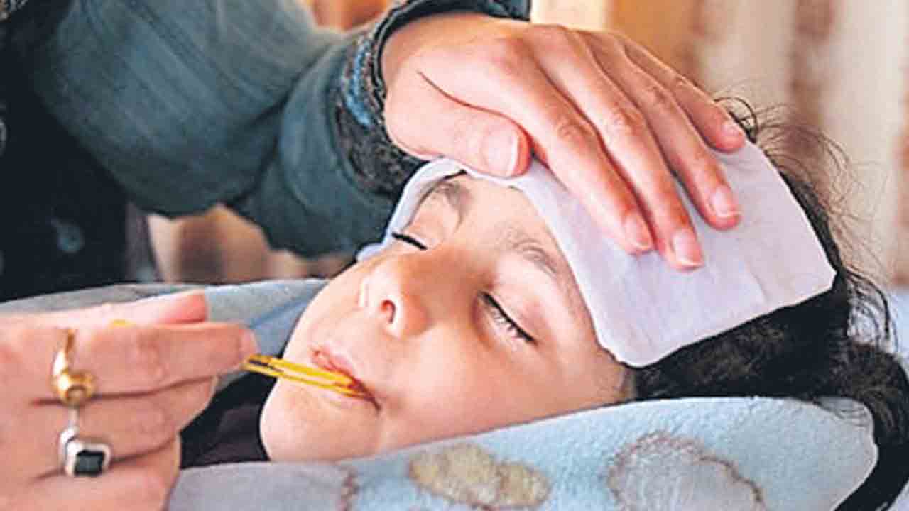 స్వైన్‌ఫ్లూ కాదు.. సాధారణ ఫ్లూ కేసులే..