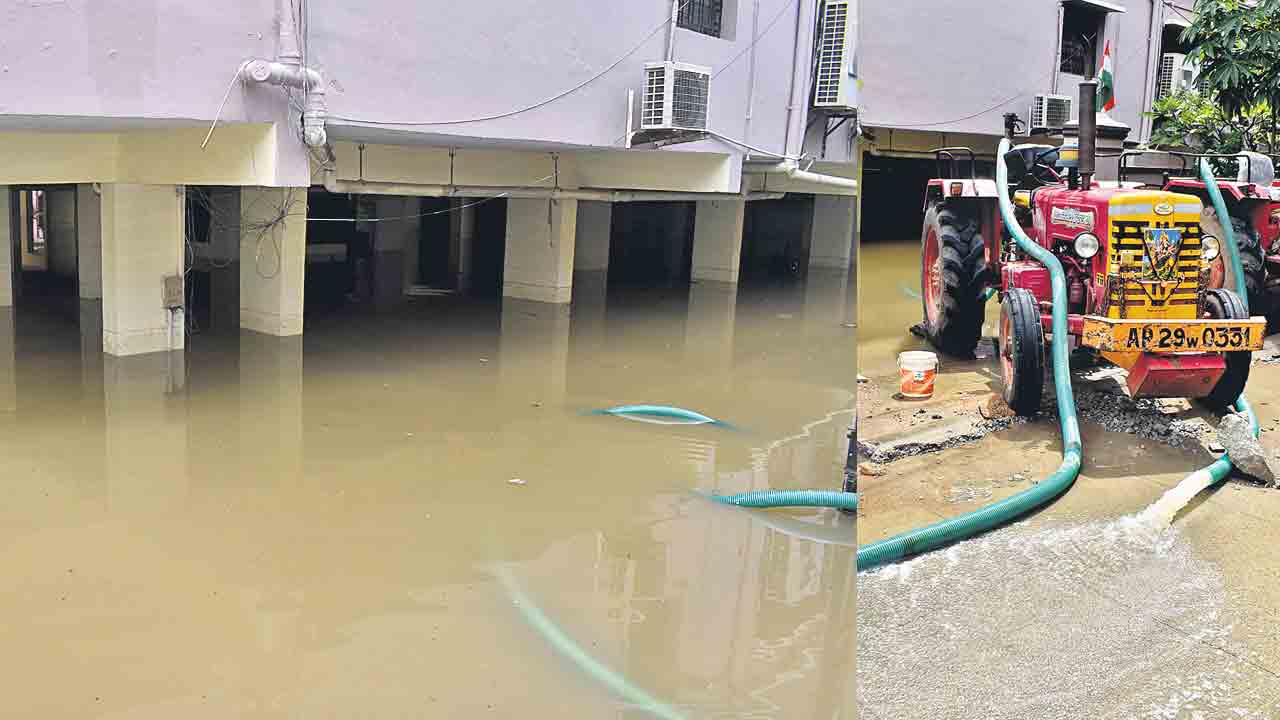 తెల్లార్లూ వానే