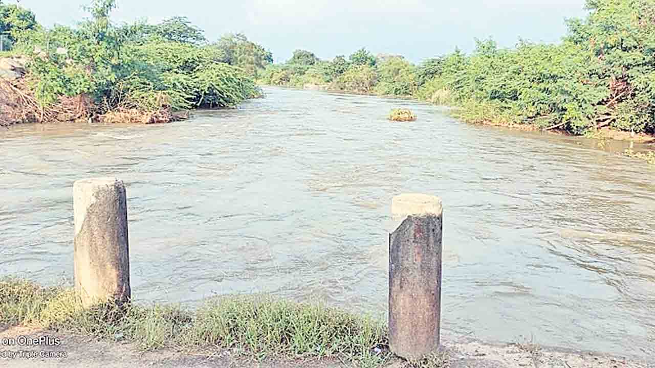 నిండుకుండలా పెద్దచెరువు