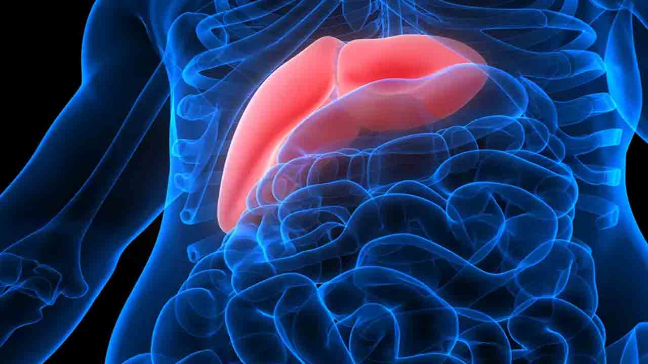 కాలేయాన్ని కాటేస్తున్న హెపటైటిస్‌-బి