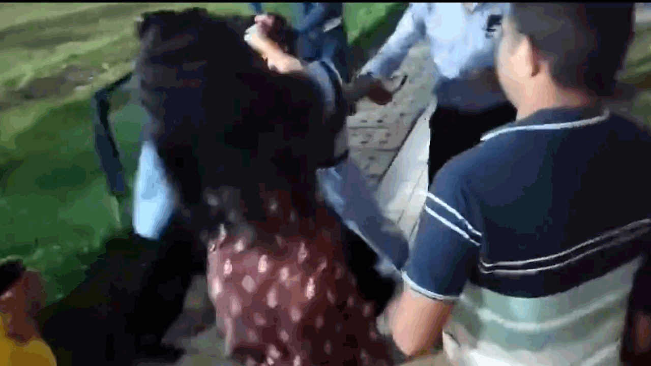 సొసైటీ ఎన్నికల్లో సిగపట్లు.. జుట్లు పట్టి కొట్టుకున్న మహిళలు