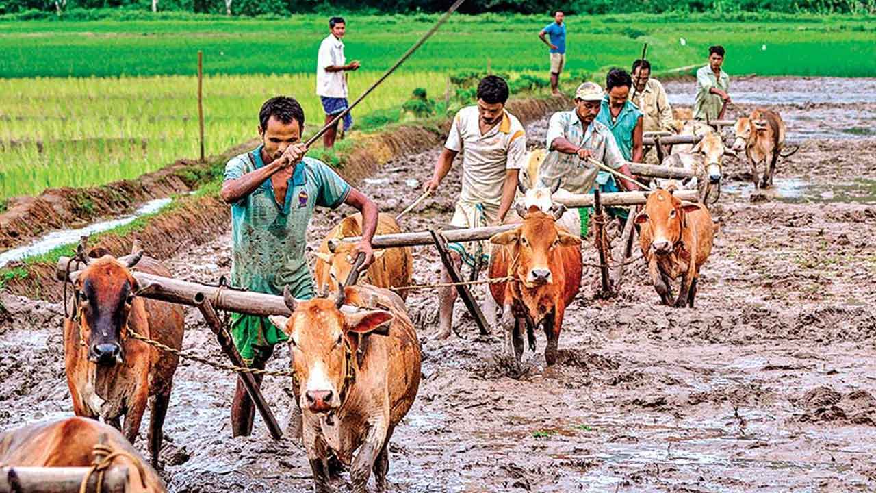 దేశంలో పెరుగుతున్న రైతుల బ‌ల‌వ‌న్మ‌ర‌ణాలు.. ప్ర‌తిరోజు 15 మంది ఆత్మ‌హ‌త్య‌
