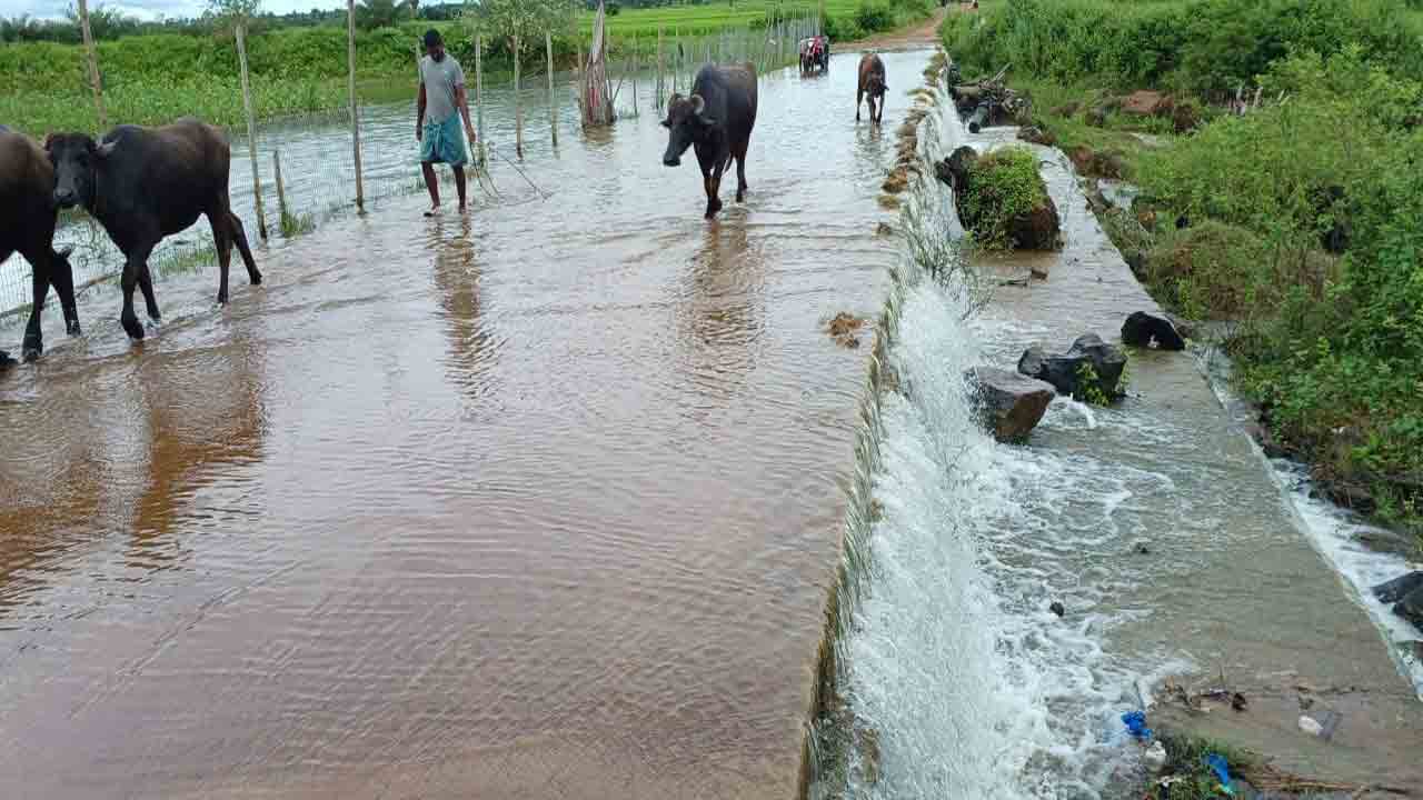 జలమ్ము పుష్కలమ్మురా.. !