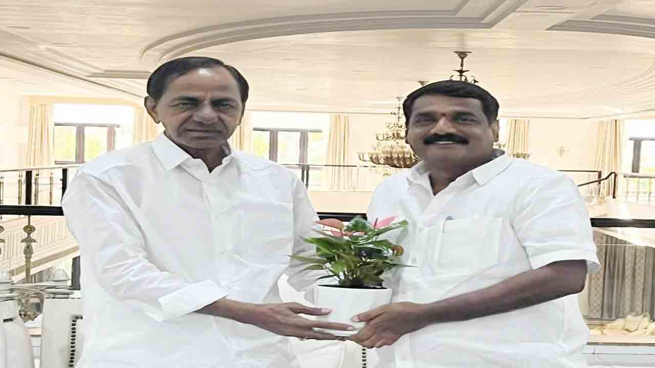 కేసీఆర్‌, కేటీఆర్‌ను కలిసిన మాదాడి