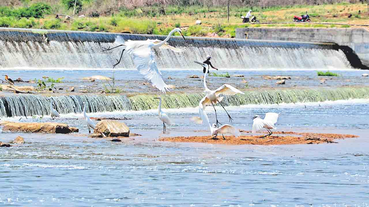 కేసీఆర్‌ అంటే..!