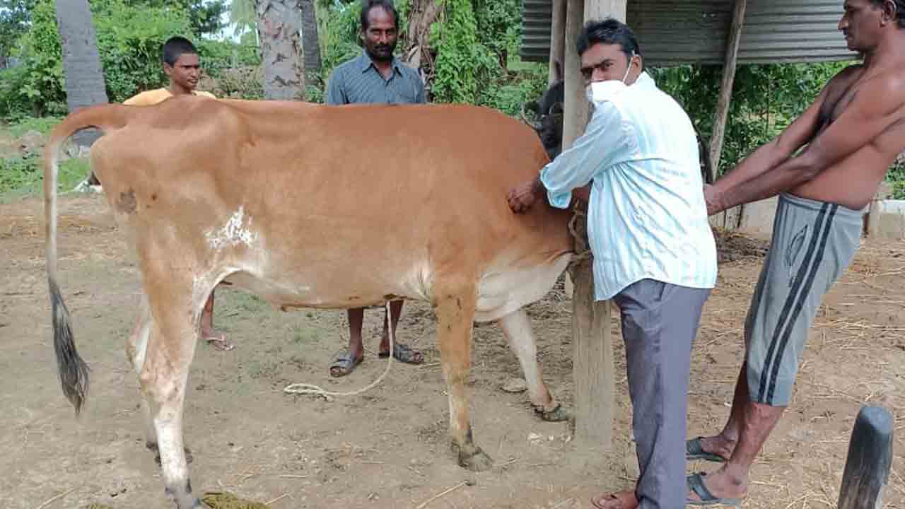 గోపాల మిత్రలకు తీపి కబురు