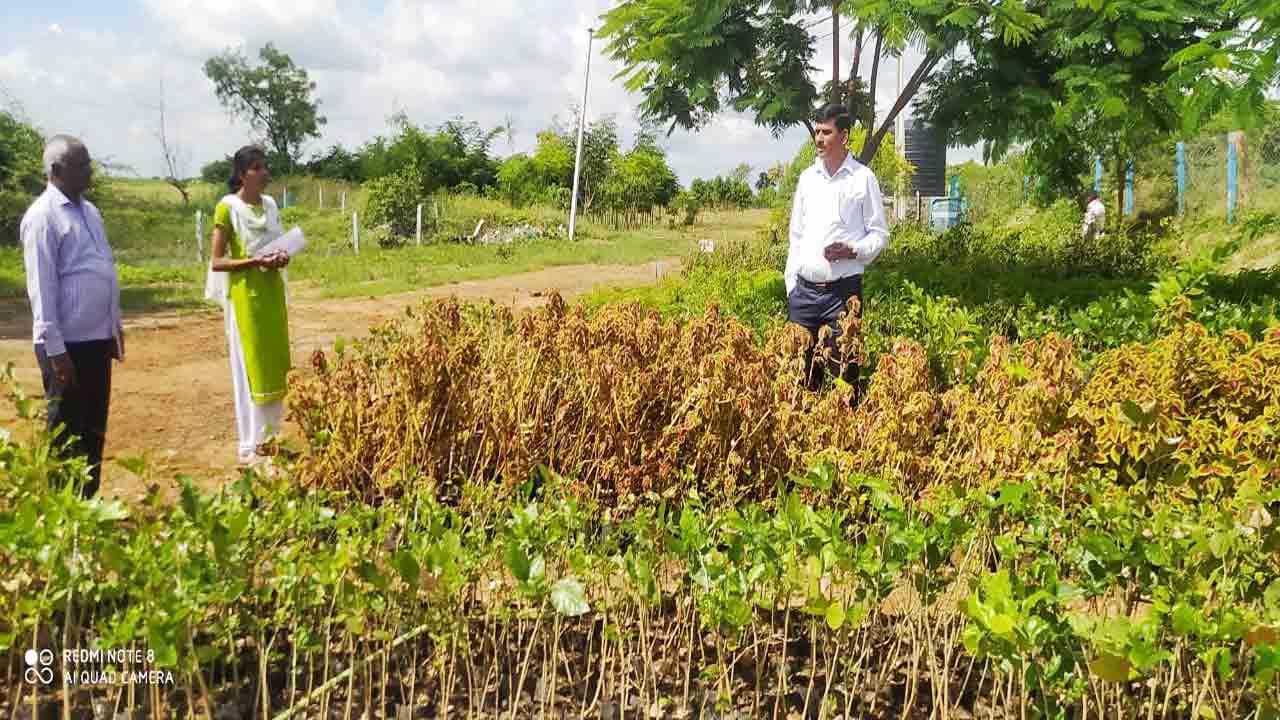 మొక్కల సంరక్షణపై శ్రద్ధ వహించాలి